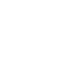 Manage Portfolio Risk-icon