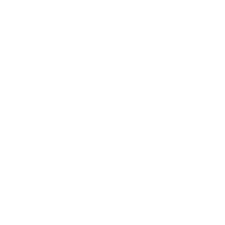 Manage Customer Relationships-icon