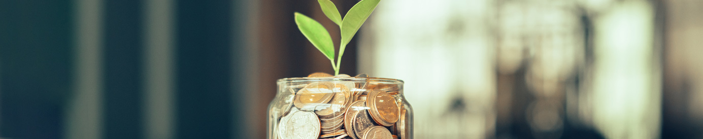 A glass jar sits on a surface, full of coins. A plant is sprouting out of the coins as if the jar and coins were a planter.