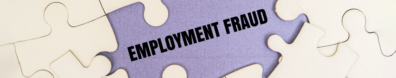 A section of a complete puzzle, with pieces all fit together, except 2 removed showing the text  'Employment Fraud'.
