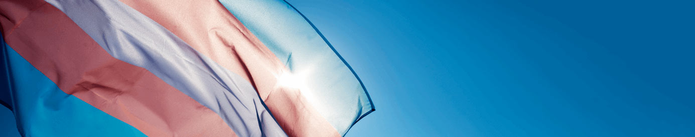 A transgender support flag waving in the sunlight
