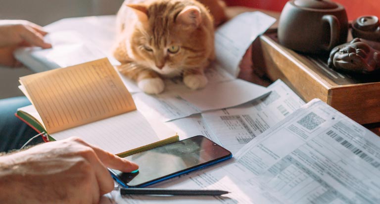 A man sits at a desktop with paperwork, address book, phone and an onlooking cat. He is swiping the phone.