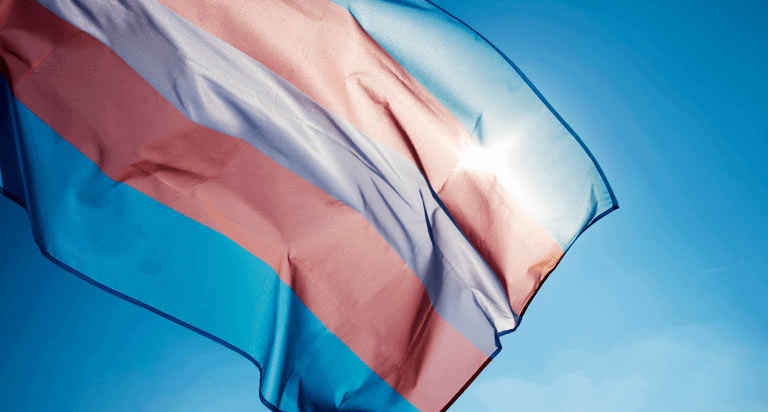 A transgender support flag waving in the sunlight