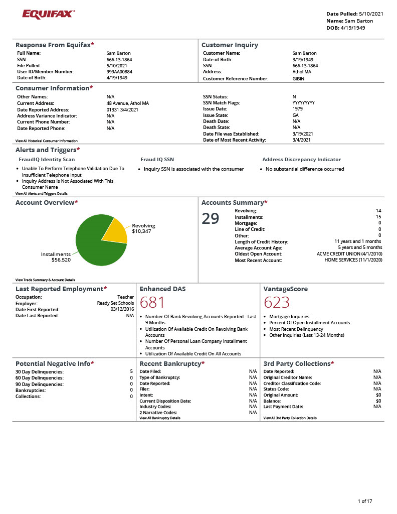 OneView report for credit decisioning