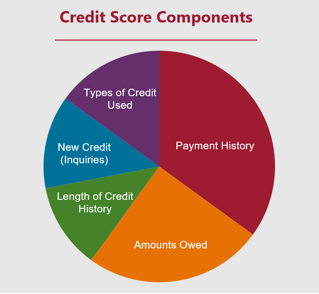 Credit score components